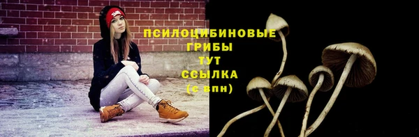 а пвп мука Арсеньев