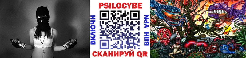 Псилоцибиновые грибы Cubensis  Кропоткин 